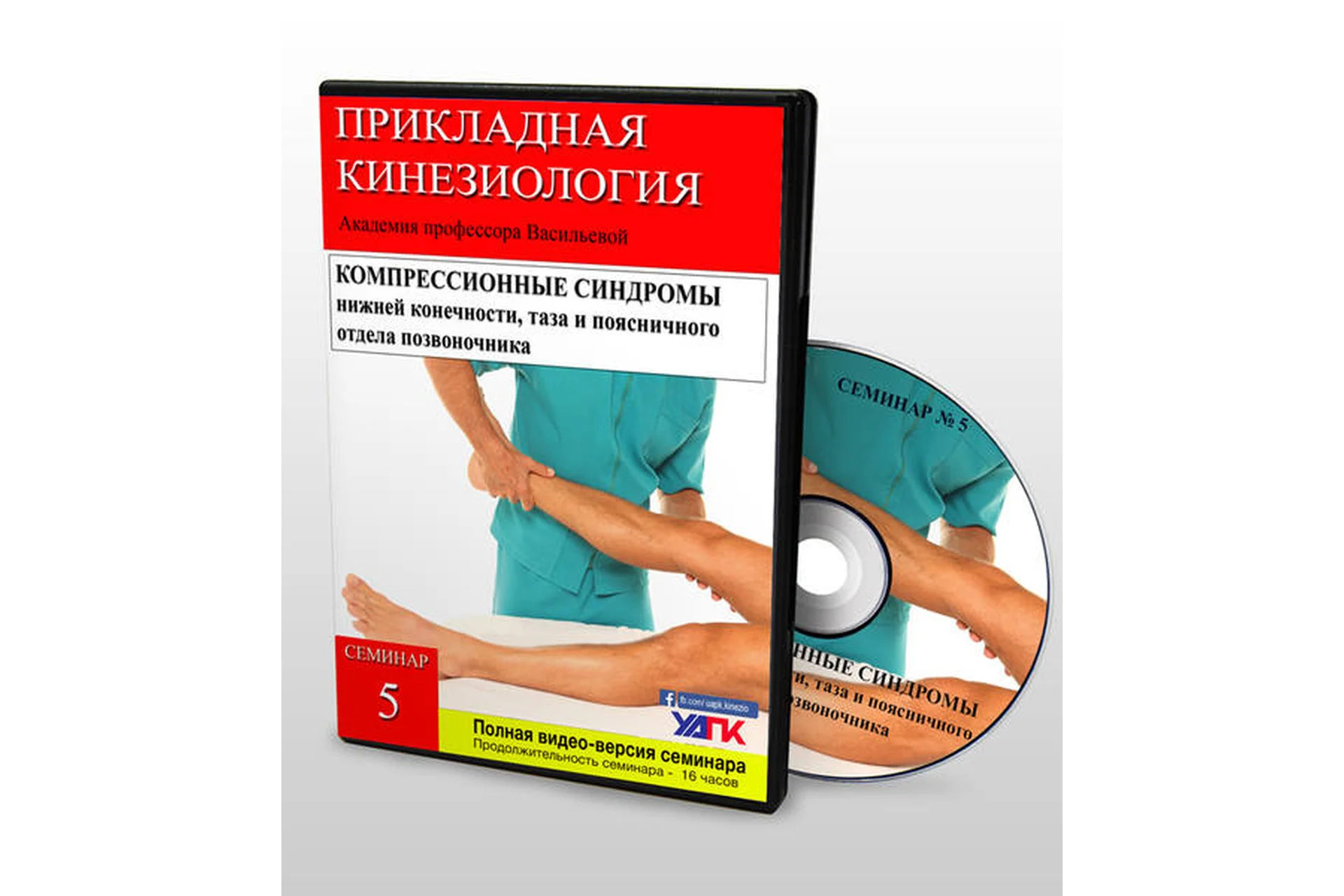 Прикладная Кинезиология УАПК. Основной курс. Семинар 5 (Николай Волынкин), фото 1 из 1.