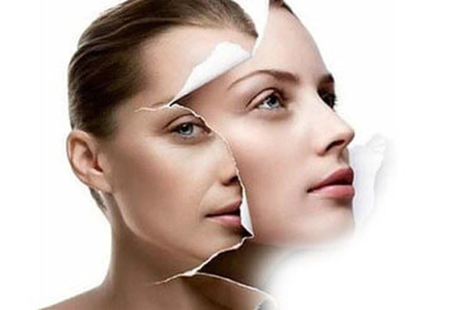 Цветущий вид (Марта Николаева-Гарина), фото 1 из 1.