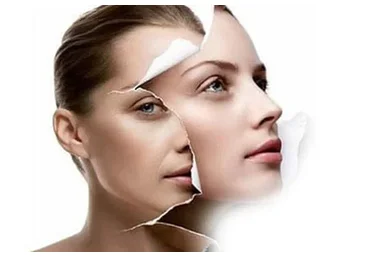 Цветущий вид (Марта Николаева-Гарина)