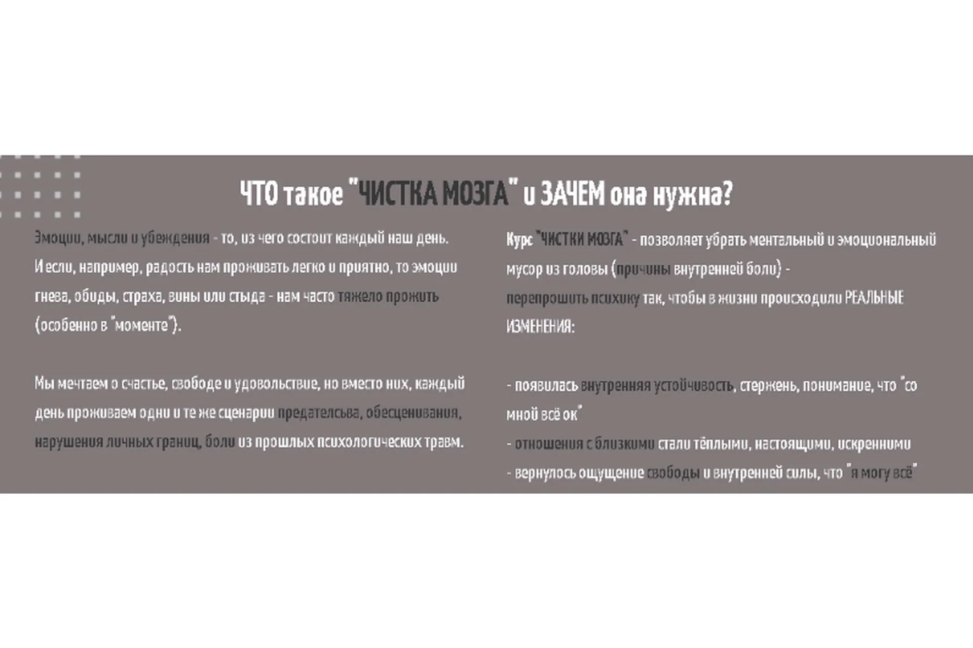 Курс чистки мозга.  Самостоятельный (Антон Махновский), фото 1 из 1.