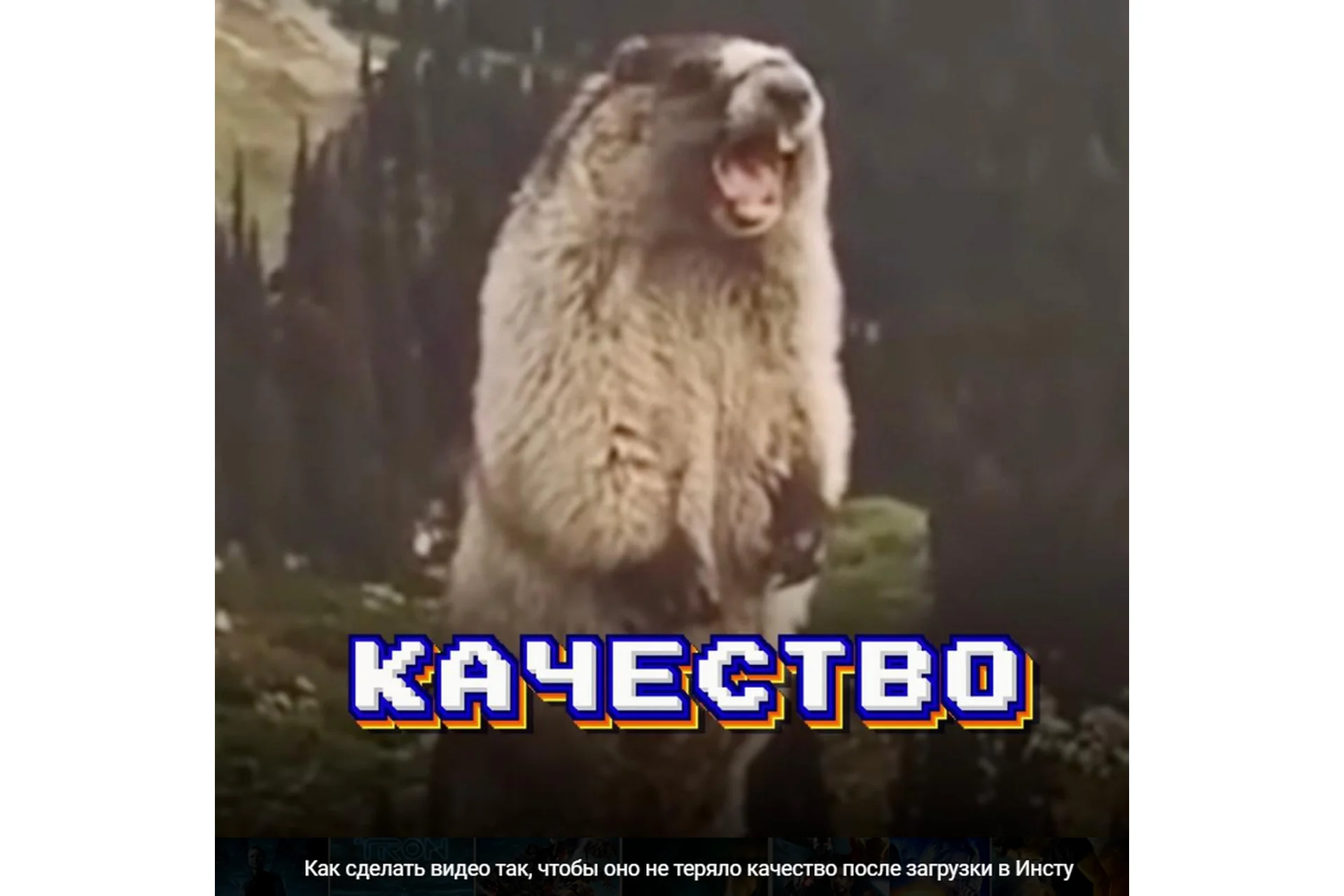 Качество (Виталий Унжаков), фото 1 из 1.