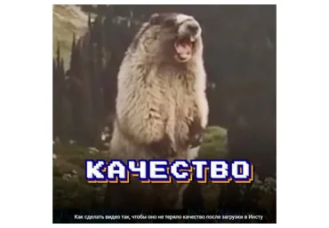 Качество (Виталий Унжаков)