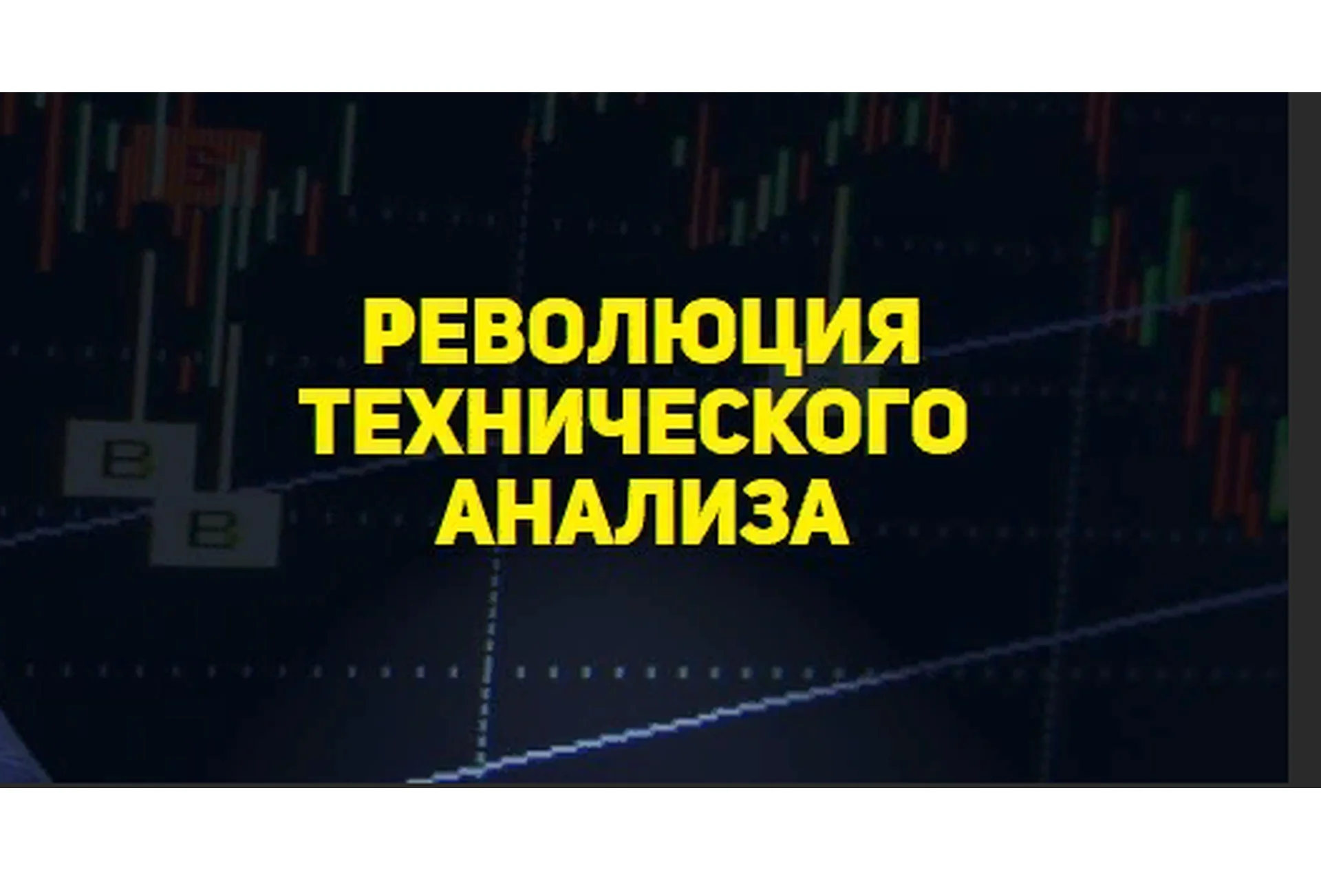 Технический анализ (Николай Шлячков, Виталий Кошин), фото 1 из 1.