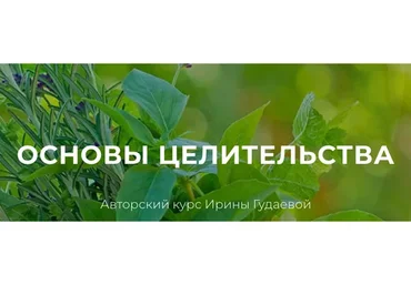 Основы целительства (Ирина Гудаева)