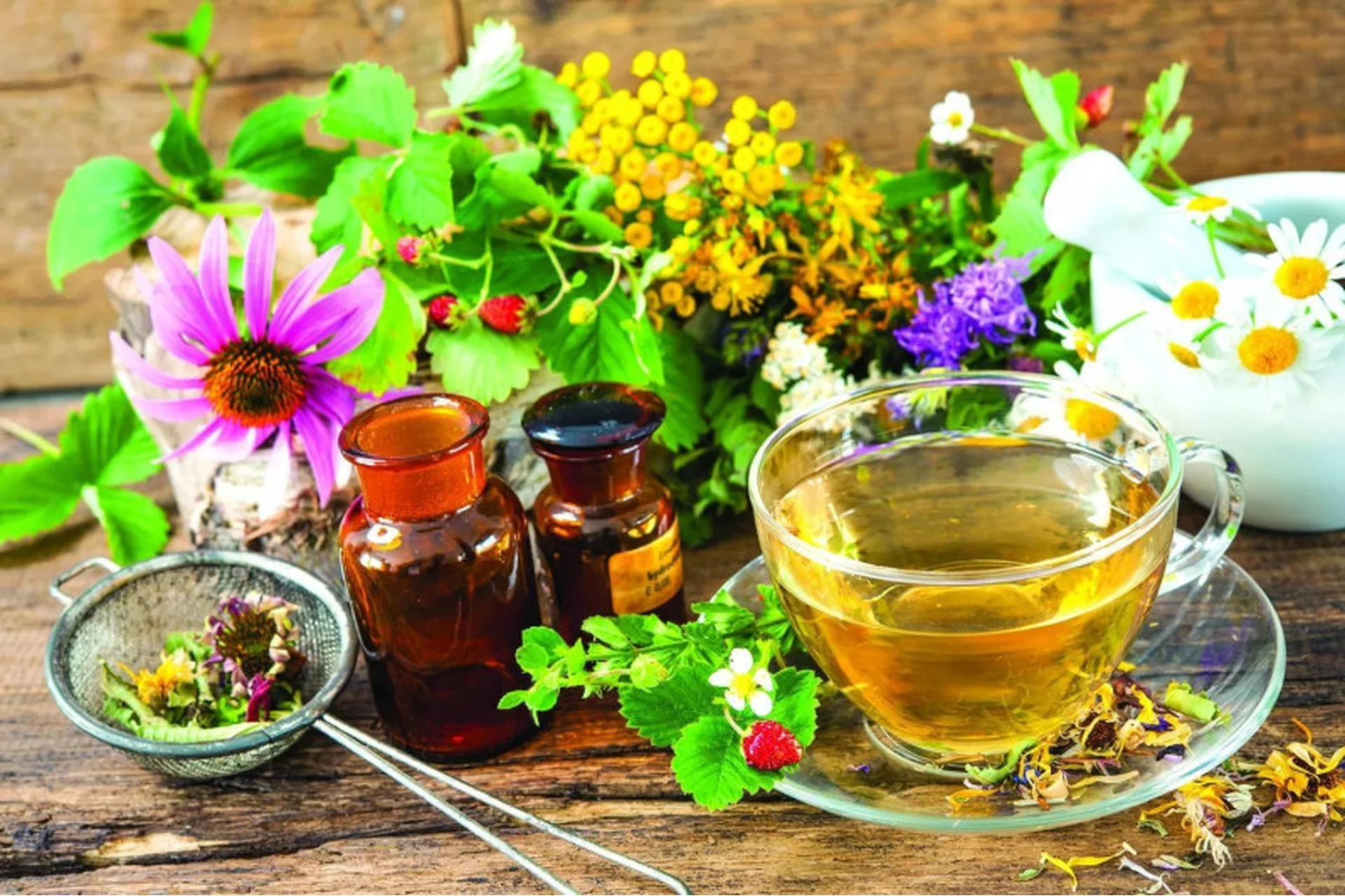 Практическое травоведение (Ирина Гудаева), фото 1 из 1.