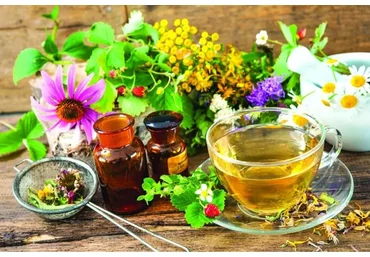 Практическое травоведение (Ирина Гудаева)