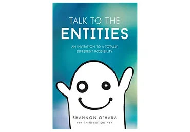 Talk To The Entities: Are Ghosts Real (Shannon O'Hara)