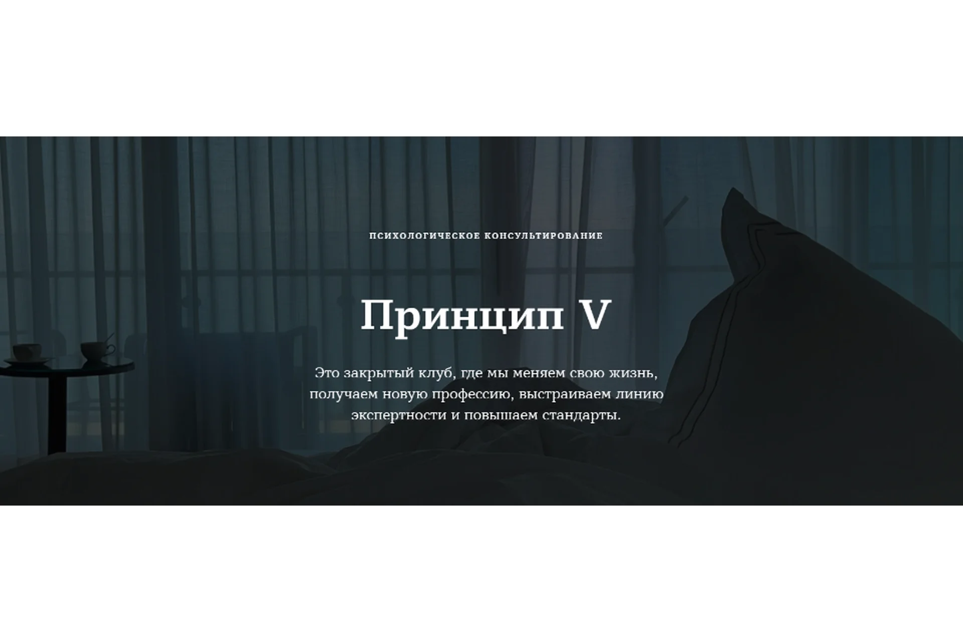 Принцип V 2021 (Марина Чернова), фото 1 из 1.