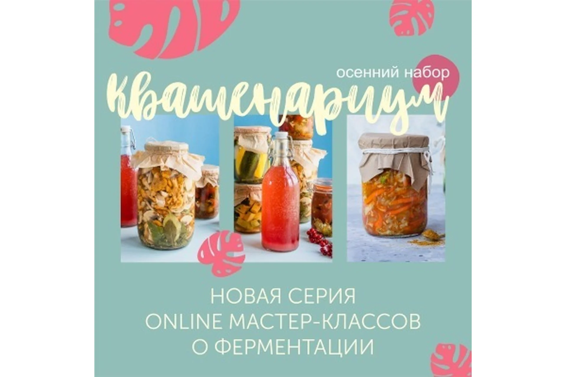 [Кулинарная школа ЗОЖигай] Обновленный курс «Квашенариум». Осенний набор (Сергей Леонов), фото 1 из 1.