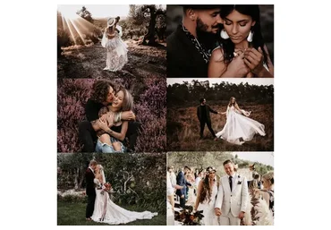 Свадебные пресеты. Aura Presets Vol. 1,  2020 (Vicky Baumann)