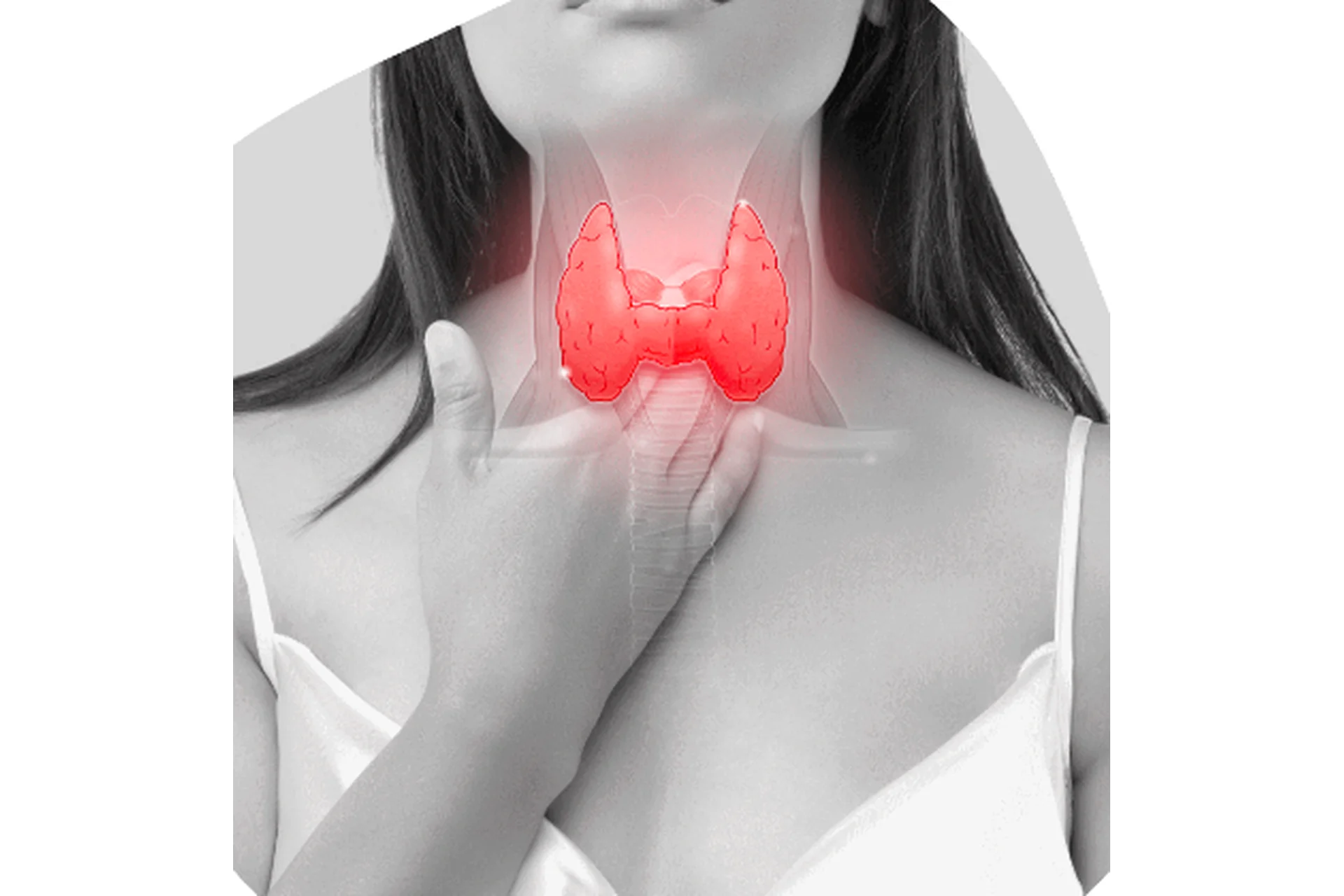 [Времени нет] Секреты здоровой щитовидки. Спецпоток. 6 эфиров (Елена Пятибрат, Ольга Абакумова), фото 1 из 1.