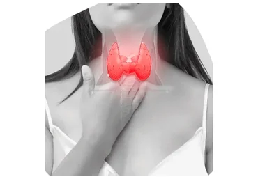 [Времени нет] Секреты здоровой щитовидки. Спецпоток. 6 эфиров (Елена Пятибрат, Ольга Абакумова)