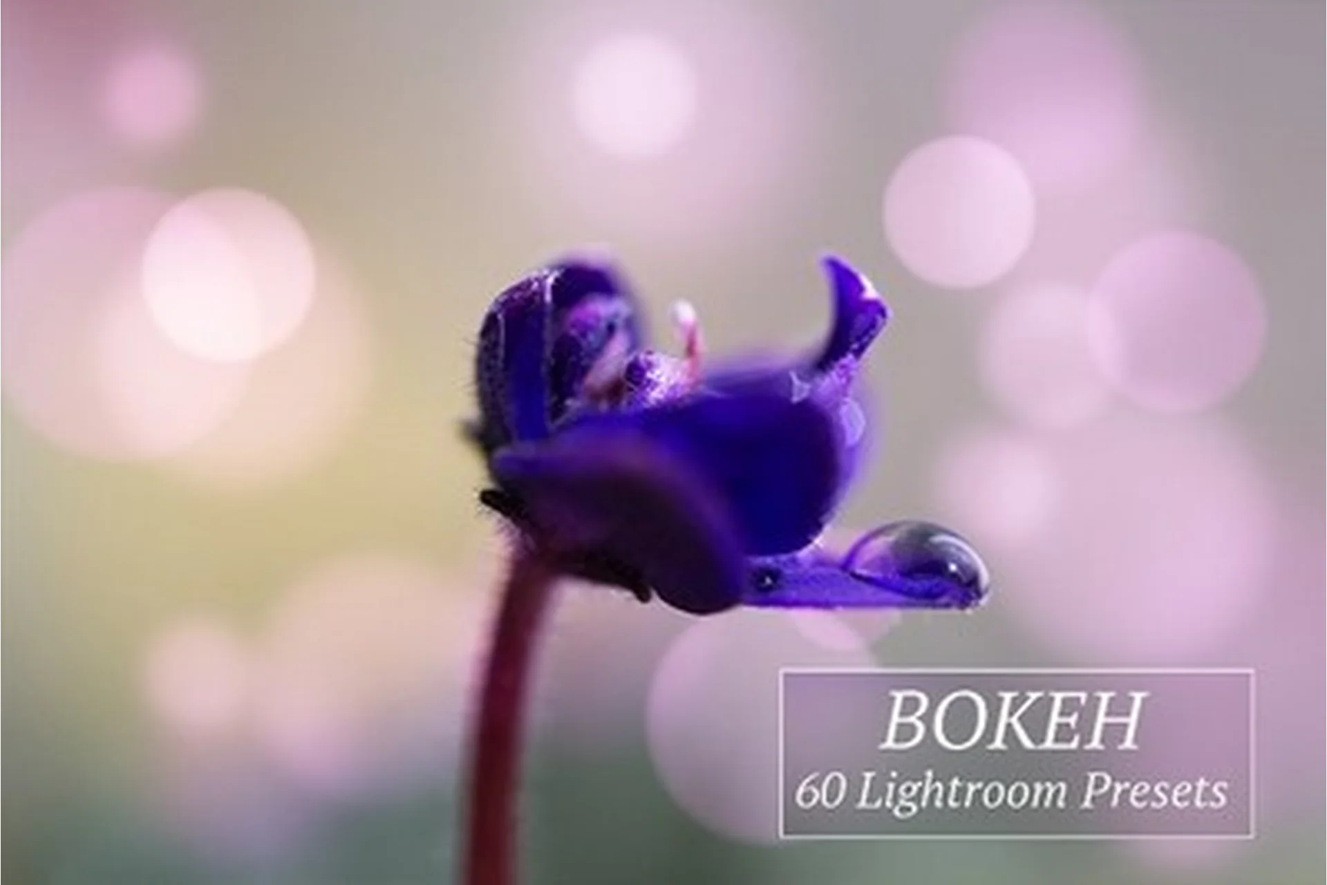 [CreativeMarket] Пресеты Bokeh, Lightroom (Art Planet), фото 1 из 1.