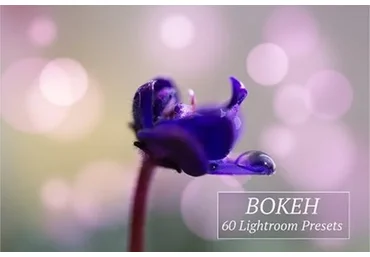 [CreativeMarket] Пресеты Bokeh, Lightroom (Art Planet)