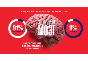 Здоровый мозг (Алексей Маматов)