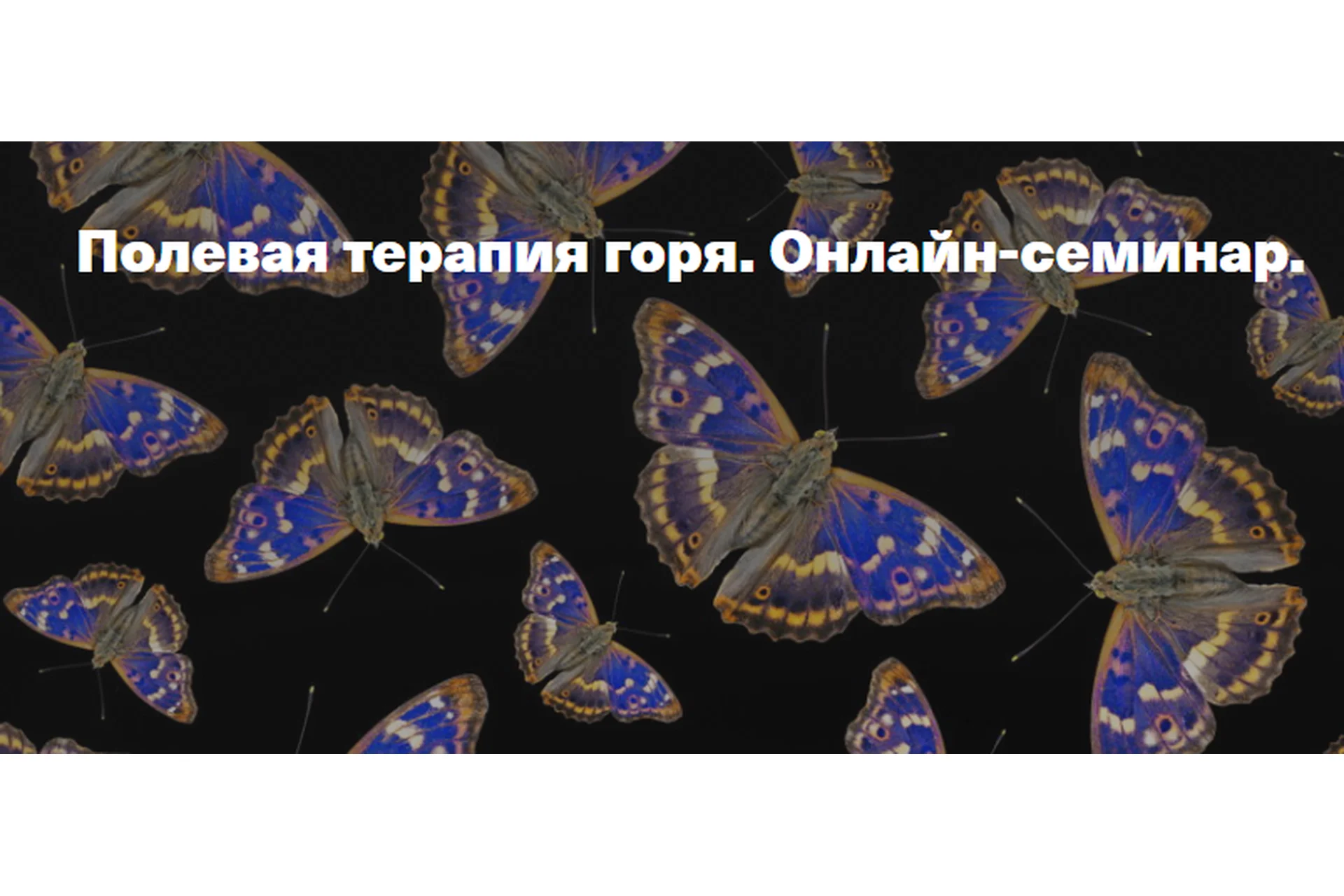 [Центр Современных системных расстановок] Полевая терапия горя (Елена Веселаго), фото 1 из 1.