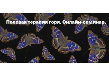 [Центр Современных системных расстановок] Полевая терапия горя (Елена Веселаго)