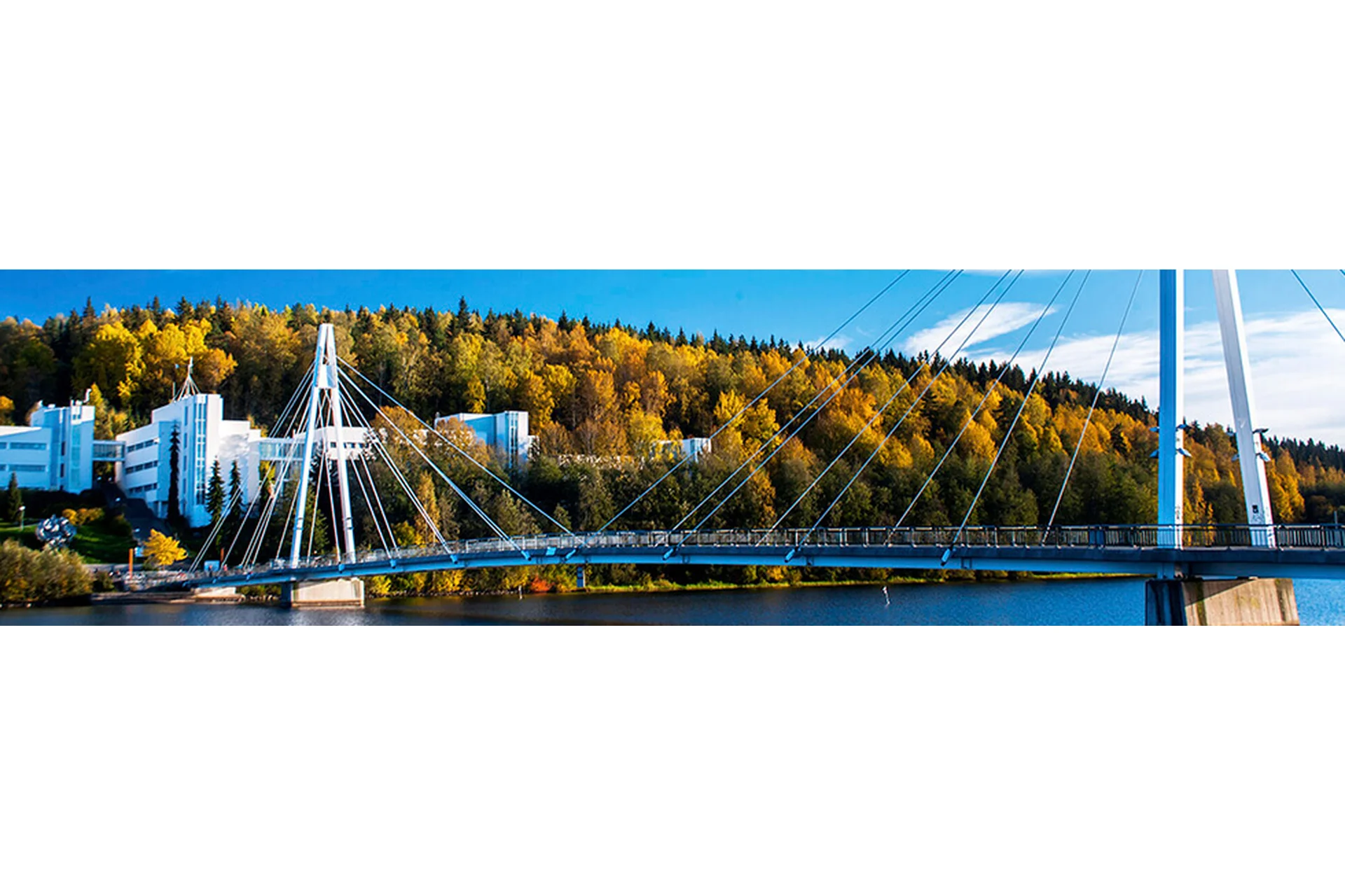 [Linguacontact] Курс финского языка (Елена Кочеткова), фото 1 из 1.