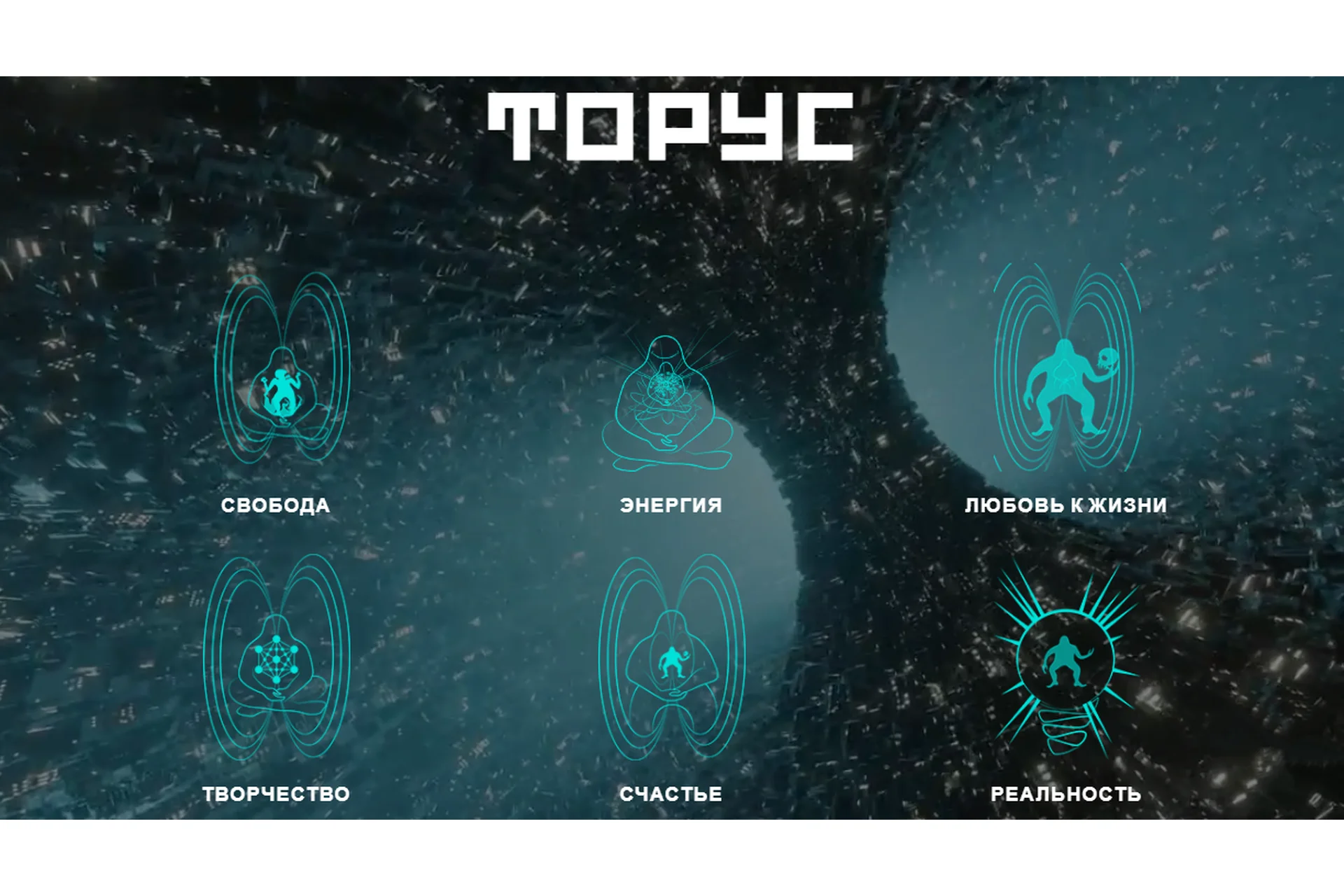 Торус. Тариф Medium (Вадим Демчог, Юлия Лазерсон), фото 1 из 1.