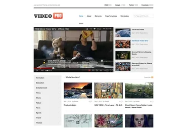 Метод создания трафиковых видео-сайтов на WordPress для заработка