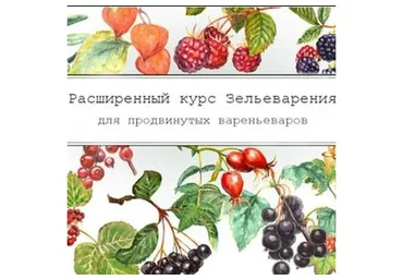 [dom_ulitki] Зельеварение. Соусы - релиши (Ирина Таро)