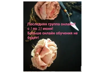 МК по скульптурной живописи на тортах (Елена Гринева)