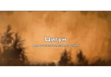 Цигун для зрения, 2016 (Владимир Осипов)