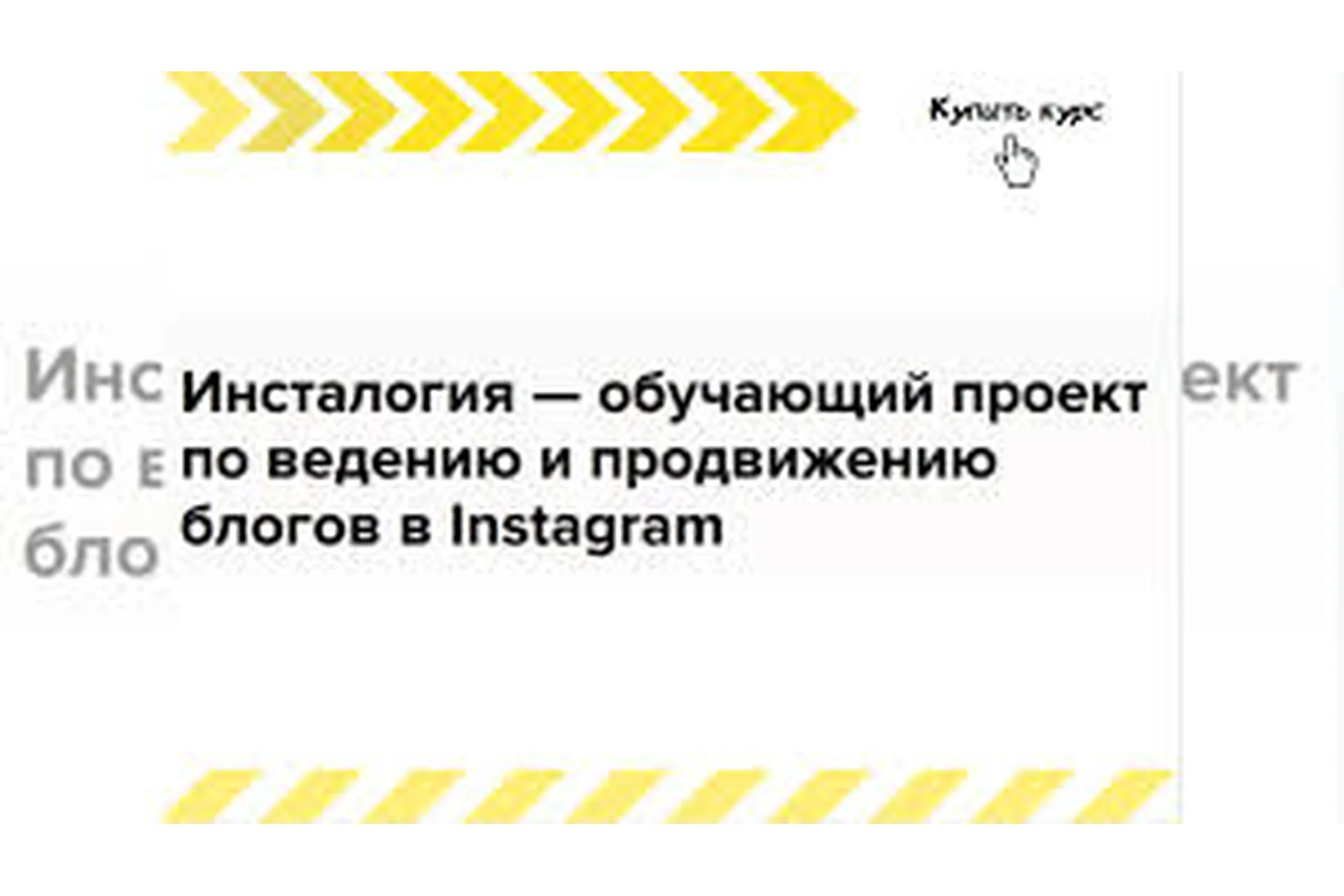 Экспресс курс: INSTAлогия (Александра Митрошина), фото 1 из 1.