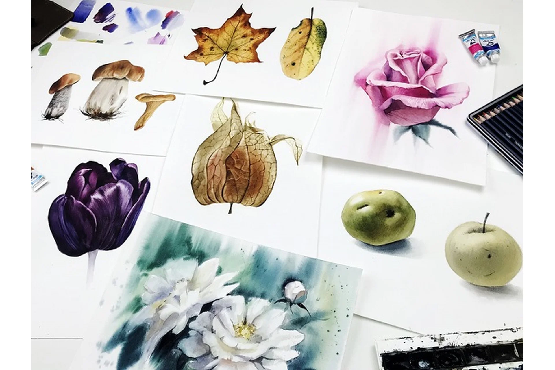 [Художник Online] Ботаника акварелью (Дарья Куцаева), фото 1 из 1.