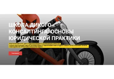 Школа дикого консалтинга: основы юридической практики (Екатерина Гуленкова)