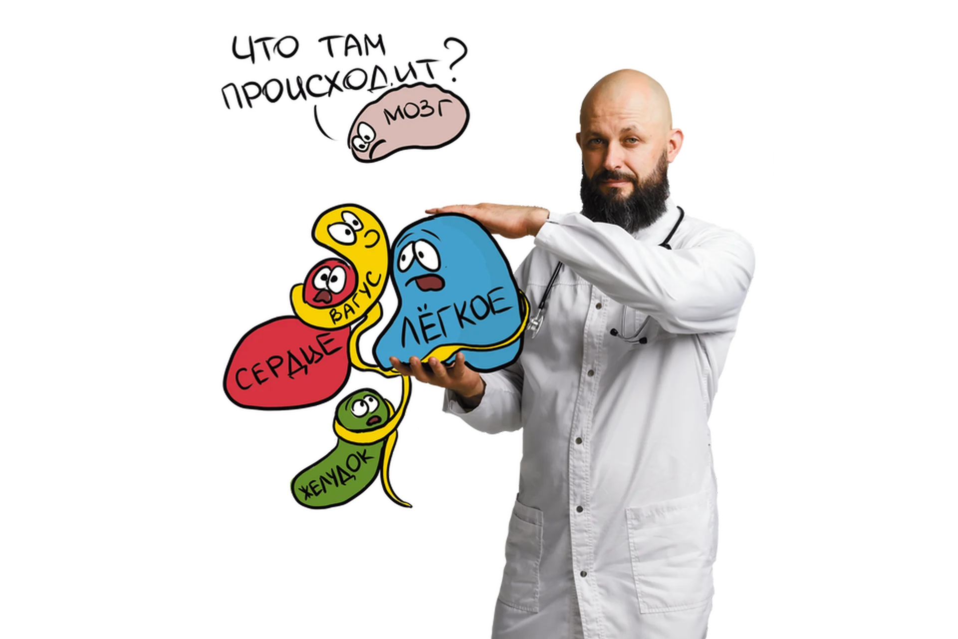 4 шага к нормализации блуждающего нерва (Алексей Маматов), фото 1 из 1.