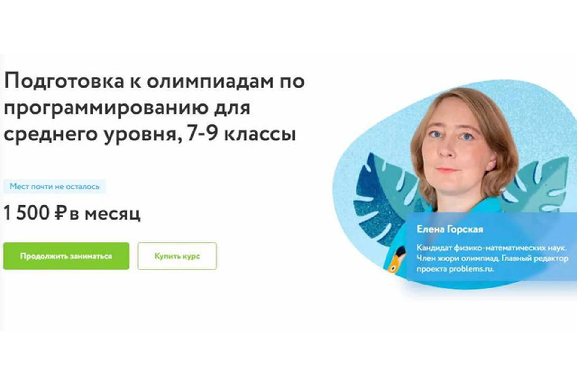 [Фоксфорд] Подготовка к олимпиадам по программированию для среднего уровня 7 - 9 классы, фото 1 из 1.