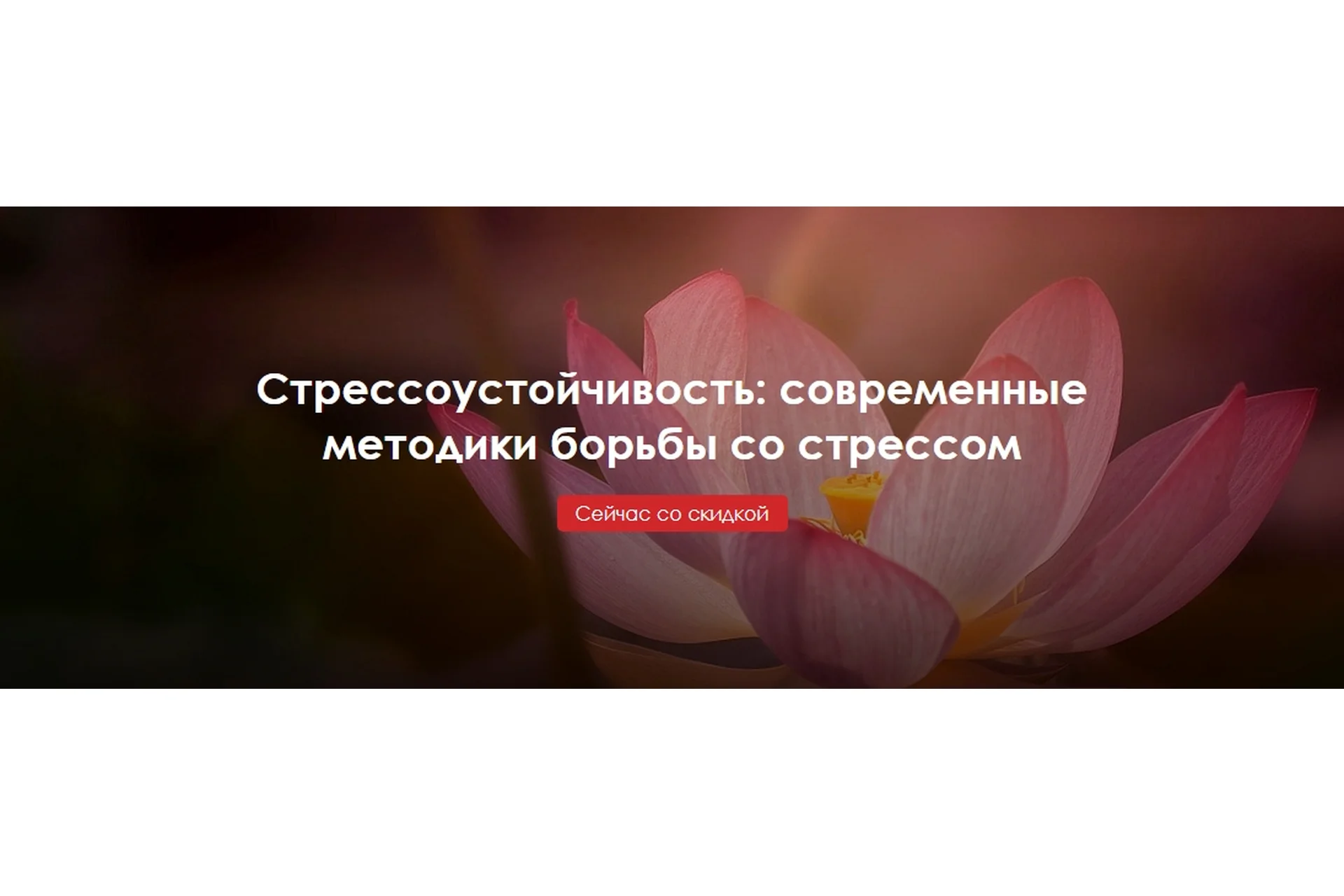 Стрессоустойчивость: современные методики борьбы со стрессом (Юлия Огаркова-Дубинская), фото 1 из 1.