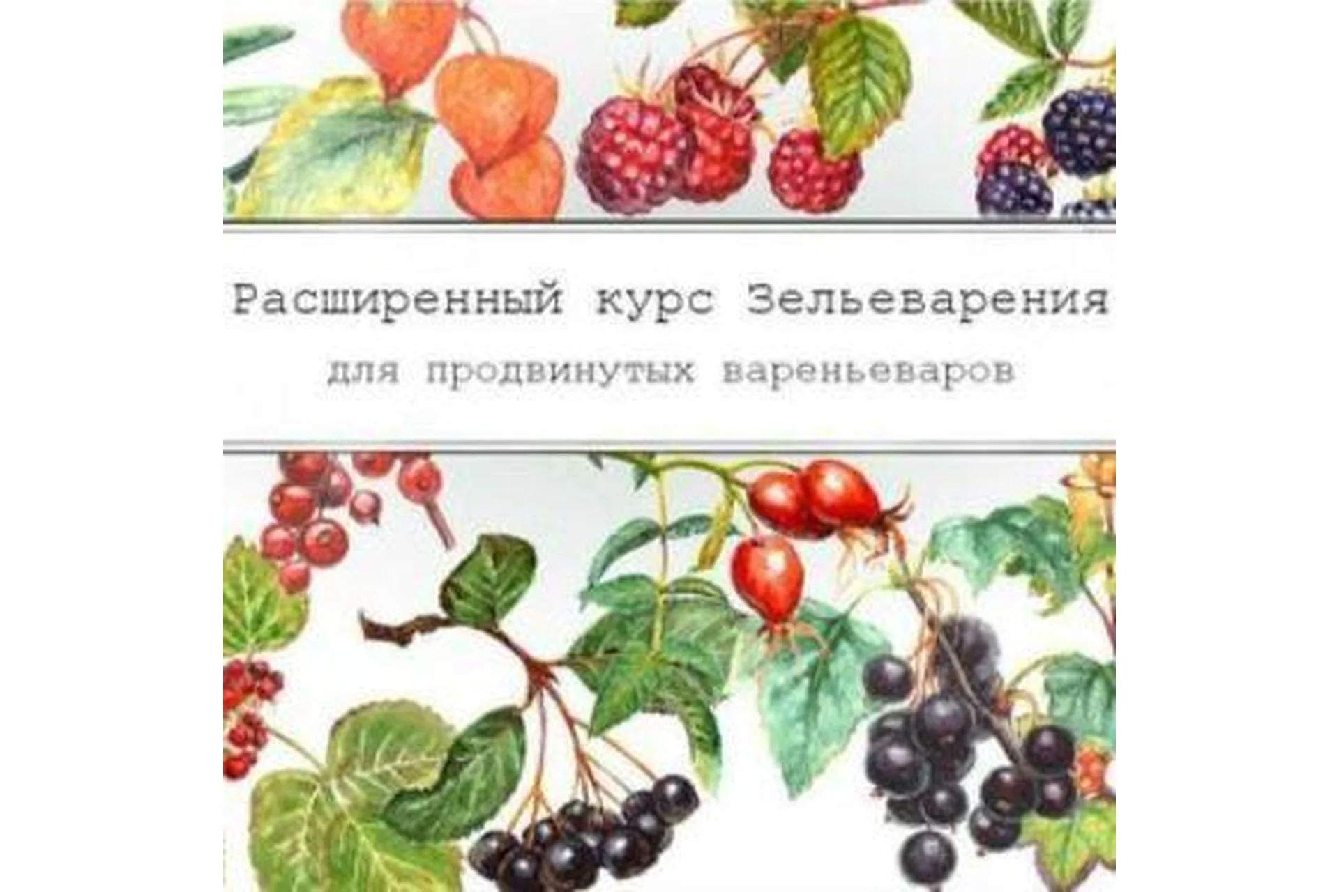 [dom_ulitki] Зельеварения «Летние ягоды» (Ирина Таро), фото 1 из 1.