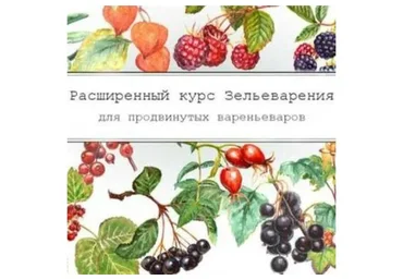 [dom_ulitki] Зельеварения «Летние ягоды» (Ирина Таро)