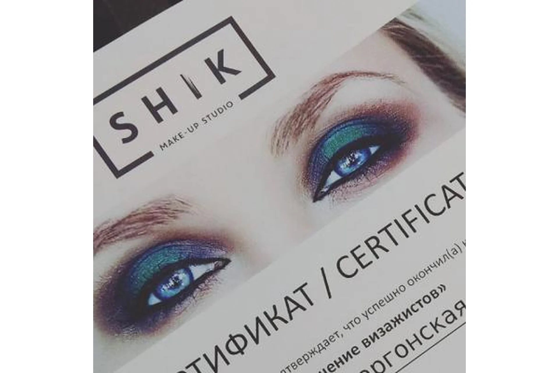 Комплект онлайн-курсов по визажу и колористике (Наталья Шик), фото 1 из 1.