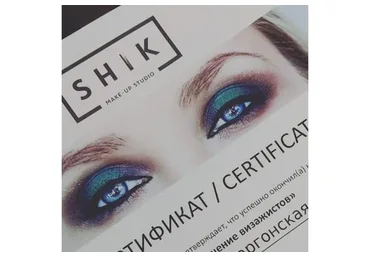 Комплект онлайн-курсов по визажу и колористике (Наталья Шик)