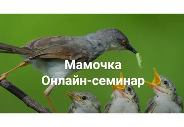 Мамочка (Елена Веселаго)