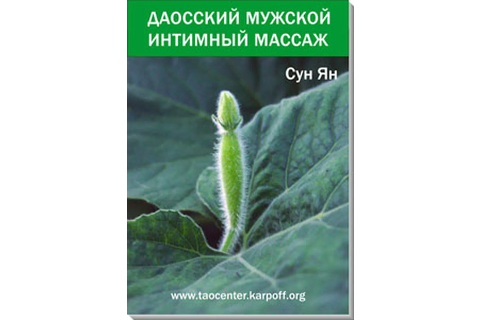 Даосский интимный энергетический массаж для мужчины (Сун Ян), фото 1 из 1.