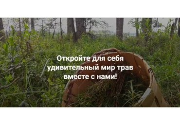 [Fitomama] Лечебные травы против стресса (Елена Корсун)