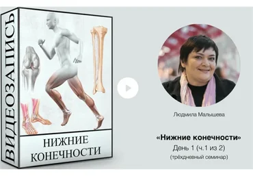 Нижние конечности (Людмила Малышева)