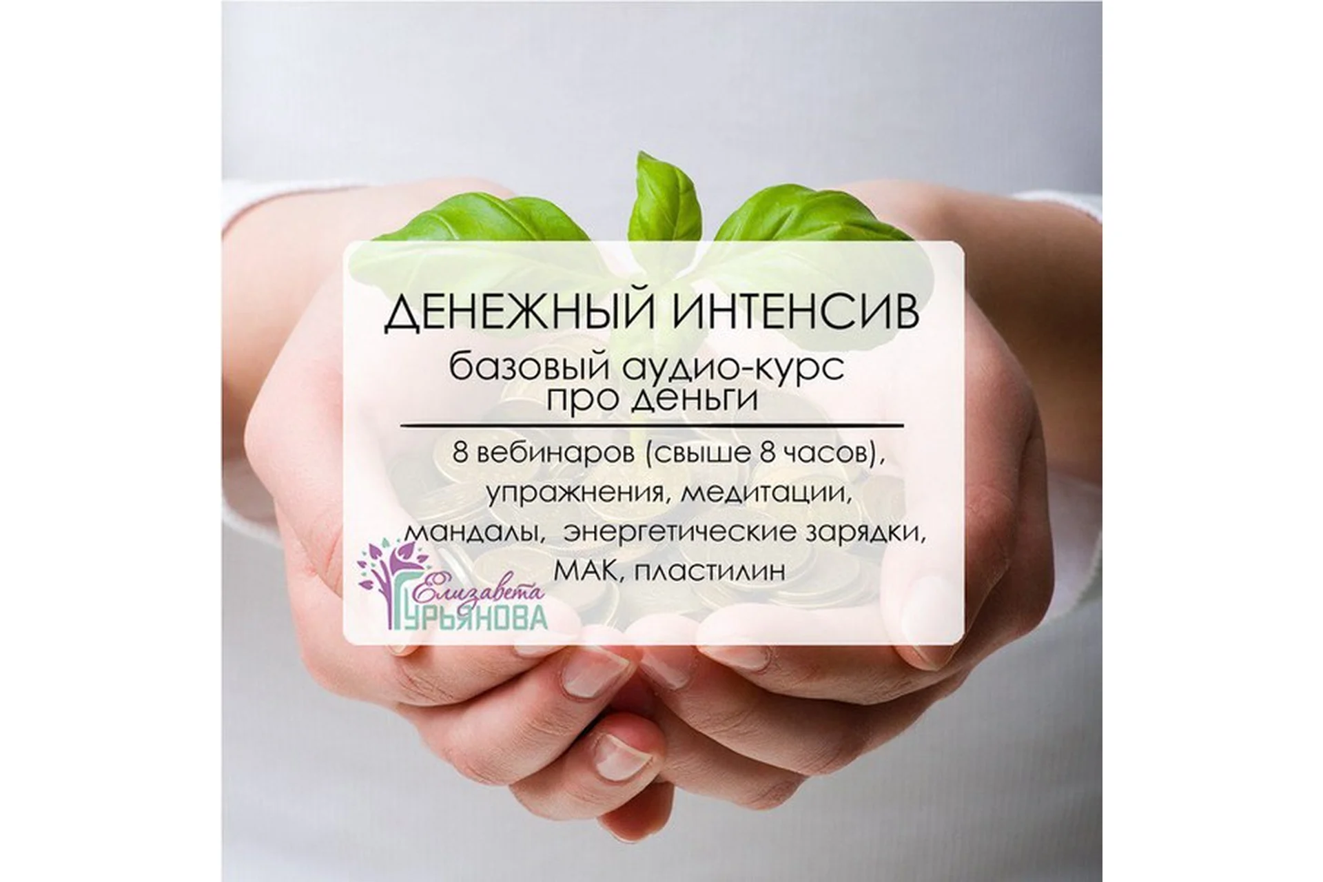 Денежный интенсив для женщин (Елизавета Гурьянова), фото 1 из 1.