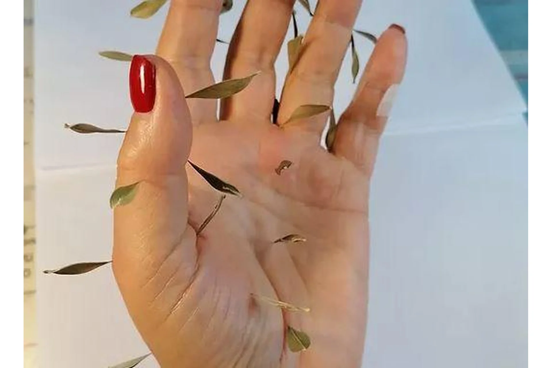 Ладка по Ладони. Мастер класс (Сергей Ивченко), фото 1 из 1.