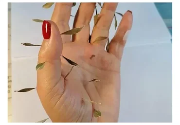 Ладка по Ладони. Мастер класс (Сергей Ивченко)