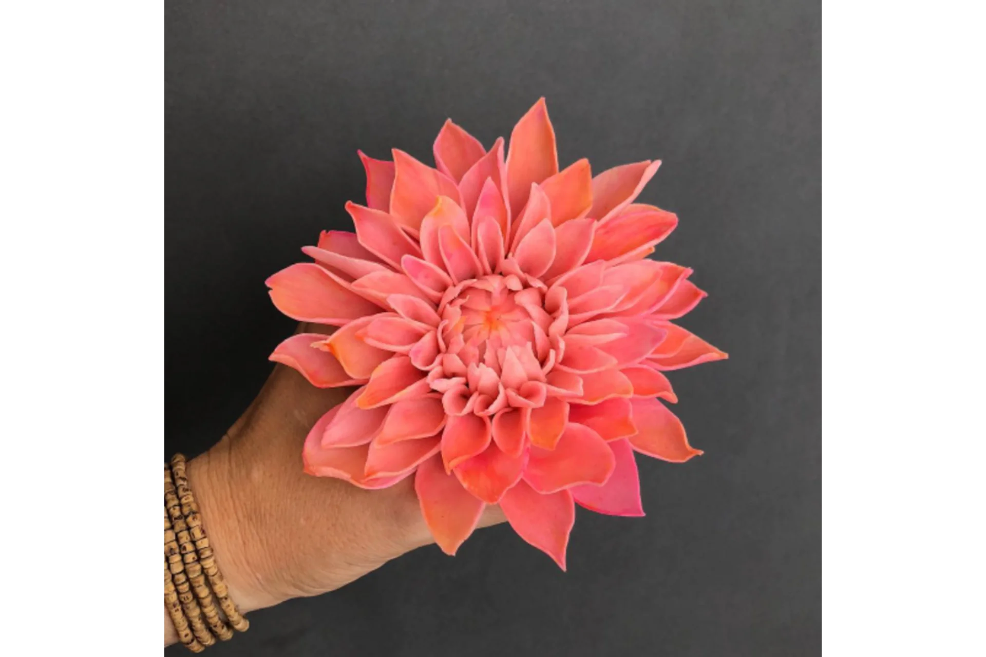 [tyt_tvoi_tort]  Цветы из бобовой пасты, фото 1 из 1.