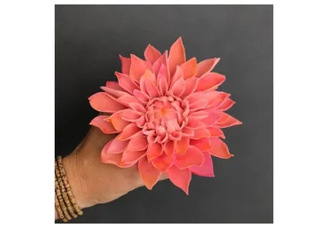 [tyt_tvoi_tort]  Цветы из бобовой пасты