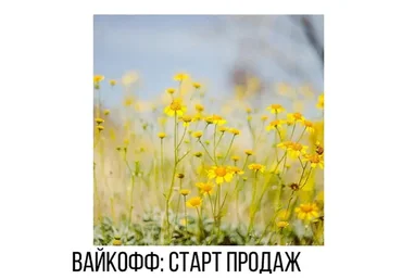 [Vesperfin] Курс по Вайкоффу и побарному анализу (Арина Веспер)