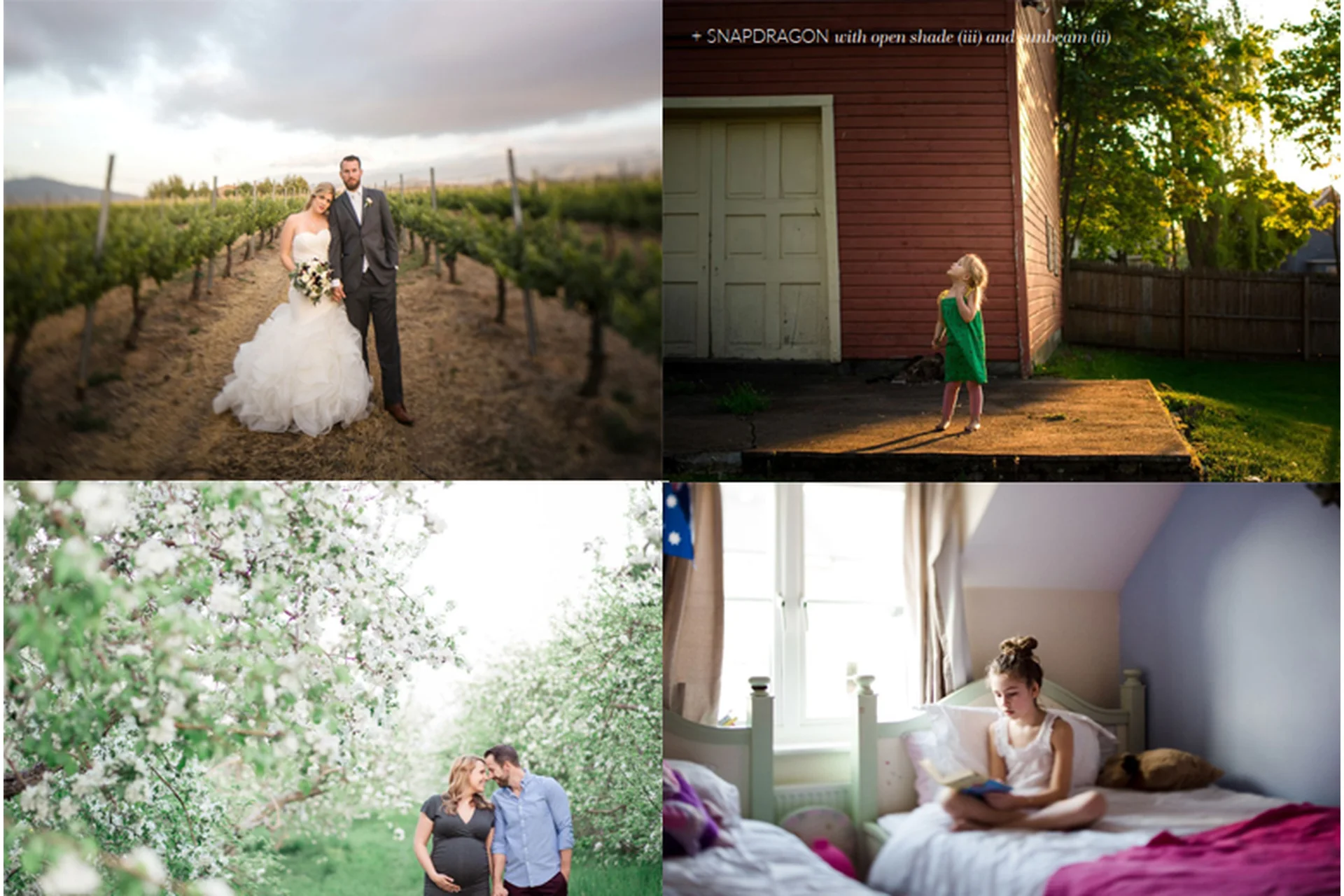 [Click & Co] Набор универсальных пресетов Garden Collection Presets for LR, фото 1 из 1.