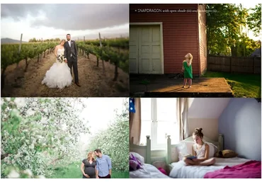 [Click & Co] Набор универсальных пресетов Garden Collection Presets for LR