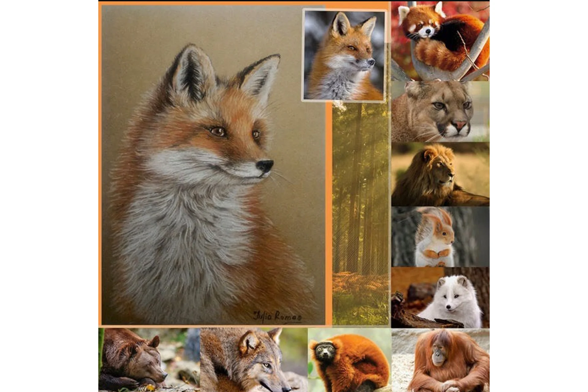 Итальянский рисунок: Дикие животные (Юлия Ромас), фото 1 из 1.